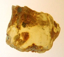 Amber Stone